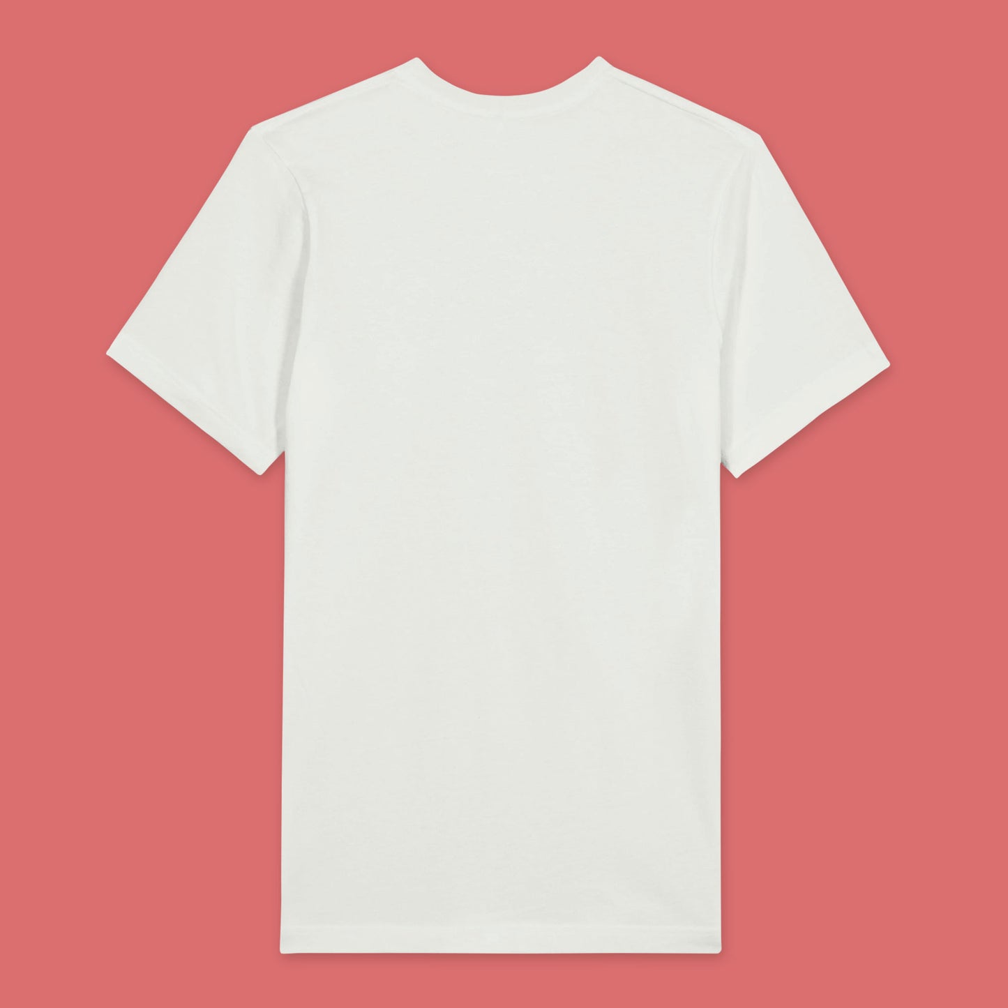 Back view of a white T-shirt with no print.
