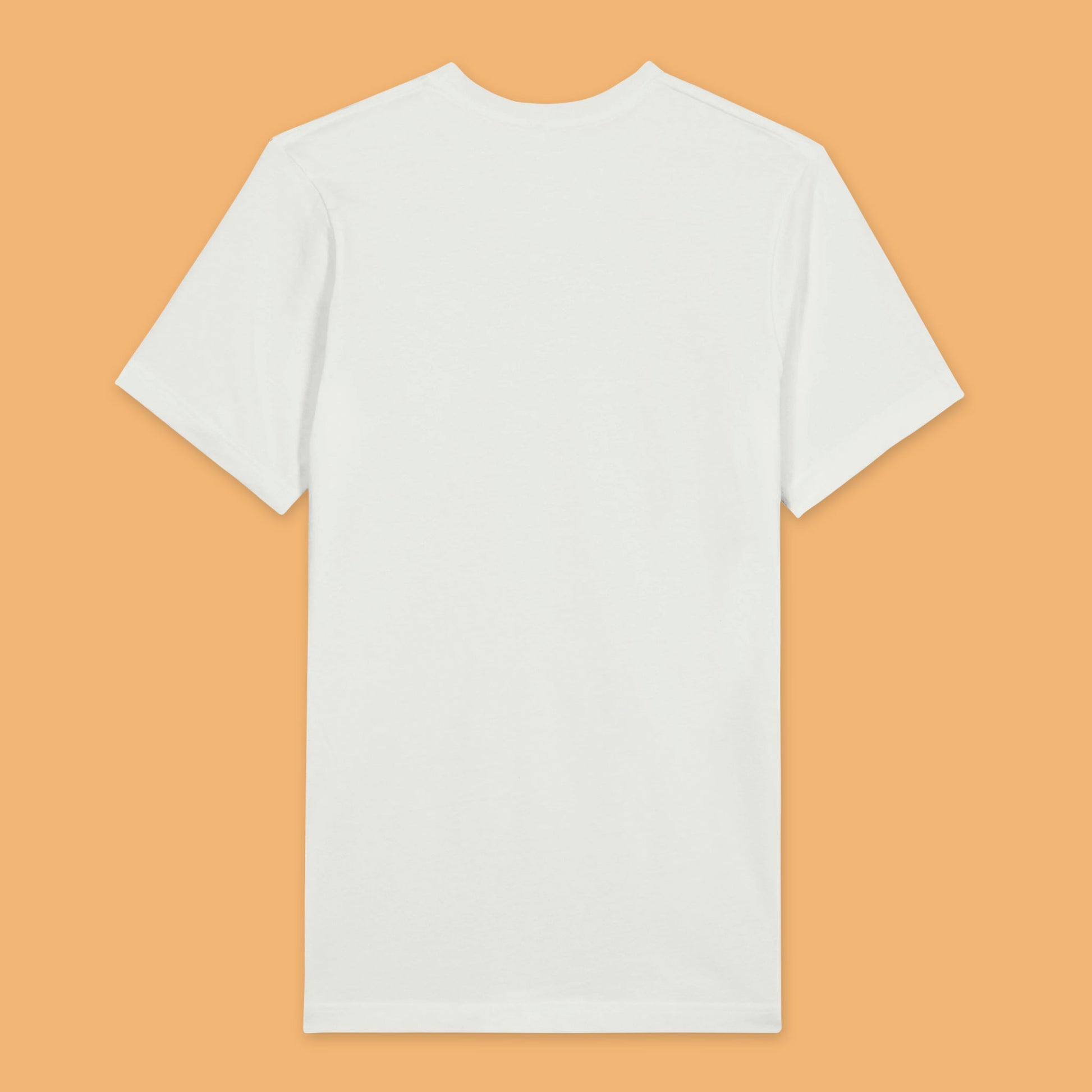 Back view of a white T-shirt with no print.