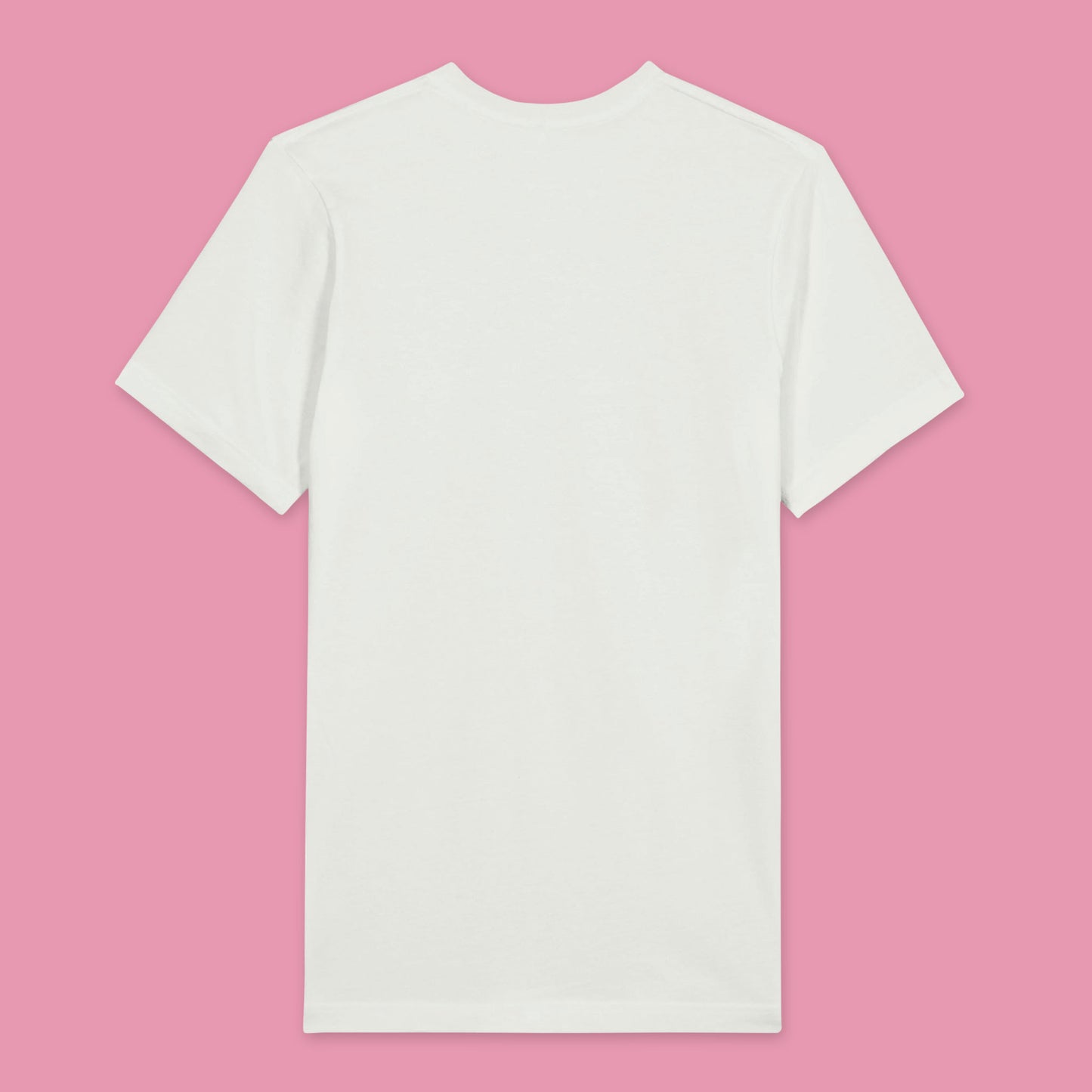 Back view of a white T-shirt with no print.