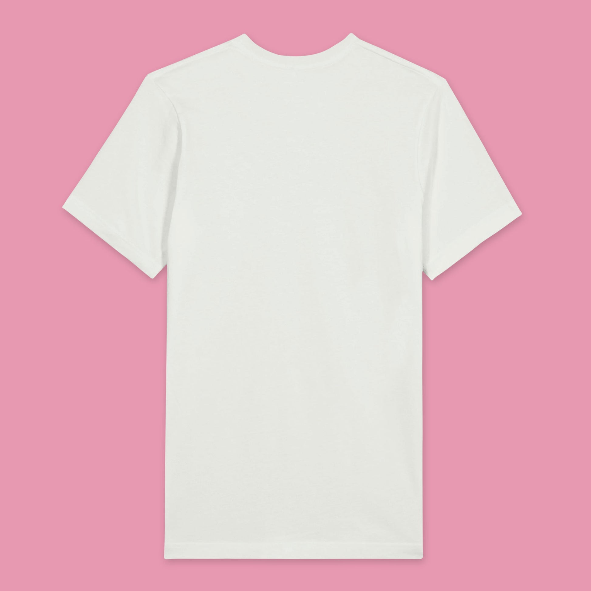 Back view of a white T-shirt with no print.